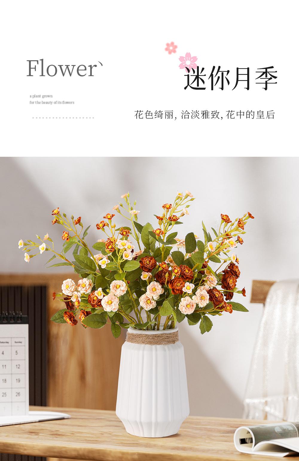 迷你小月季详情图