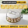 Incubadora de Huevos, Incubadora Pequeña para el Hogar, Incubadora Inteligente Totalmente Automática, Incubadora Especial para Huevos de Ave, Loros y Pájaros Raros