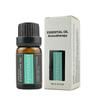 44 vela de aromaterapia aceite esencial jengibre ajenjo rosa aceite esencial sándalo aromaterapia difusor de aceite vegetal único caja set