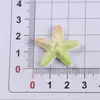 Pinza para el Cabello con Forma de Estrella de Mar Degradado de Cinco Puntas, Goma para el Cabello, Pinza para Teléfono Móvil, Agujero en la Hebilla del Zapato, Parche DIY, Accesorios de Resina
