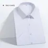 Camisas Masculinas OEM, Algodão de Fio Alto Amônia Líquida, Não Amassa, Antirrugas, Respirável, Fácil de Cuidar, Camisas Profissionais para Trabalho, Personalizadas