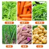 Mistura de Vegetais Desidratados Pronta para Comer, Pacote de Acompanhamento para Macarrão Instantâneo, Pacote de Vegetais com Cebolinha e Cenoura, Verduras Cozidas em Pequenos Pacotes