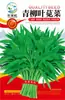 Semillas de Verduras Variadas para Otoño e Invierno, Semillas de Col China, Plántulas con Alta Tasa de Germinación, Nuevas Variedades de Colza Empresas Mayoristas