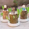 Planta de la Suerte Hidropónica de Madera Brasileña con Capullos Florales, Versión Pareja Groot, Planta Verde Hidropónica para Oficina, Planta en Maceta Feliz