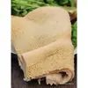 10 kg de Mondongo de Res Amarillo Congelado Instantáneamente en Piezas Grandes, Ingredientes Comerciales para Hot Pot, Mondongo para Hot Pot, Mondongo de Res, Brochetas de Vísceras de Res