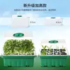 Caixa de mudas com 12 cavidades, altura ajustável, respirável, isolada, ferramenta de jardinagem prática para semear, material que retém umidade, ferramenta de jardim