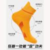 Meias Masculinas Meia-Perna para Primavera e Outono Algodão Absorventes de Suor e Respiráveis Meias Casuais Esportivas para Corrida Basquete Masculino Jovem Zhuji