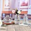 Decoração para casa em estilo aromaterapia pequeno vaso de vidro escritório decoração de mesa vaso nórdico retro alto sentido
