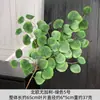 Flores Artificiales de Hoja de Eucalipto Estilo Nórdico Suministro Transfronterizo Accesorios para Arreglos Florales de Boda Planta Verde Decoración de Flores Falsas Venta al por Mayor