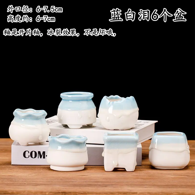 蓝白泪6个盆_副本