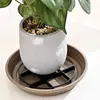 Base Espessa para Vasos de Flores com Design Oco Respirável para Suculentas, Previne Acúmulo de Água e Sufocamento das Raízes