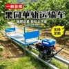 Vehículo Transportador Monorriel Agrícola Vehículo de Transferencia de Carga para Huertos en Pendiente Equipo de Transporte Ferroviario de Montaña con Motor de Gasolina