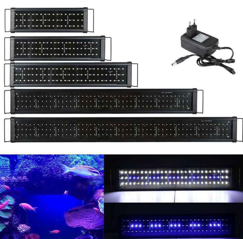 9dd7345d88ba1b7a82167b85229a74