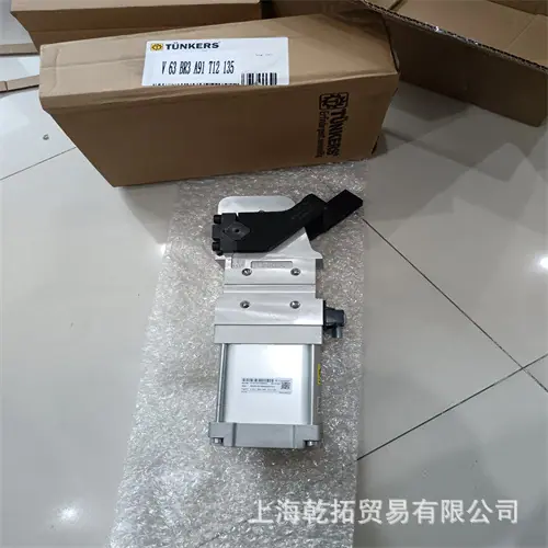 V63BR3A91T12135.jpg