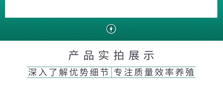 牛鼻刺_09.jpg