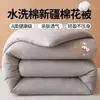 Colcha 100% algodão puro de Xinjiang Colchão de dormitório estudantil Núcleo de colcha Algodão lavável Classe A Colcha de inverno Colcha de primavera e outono Dropshipping