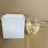 Taza Creativa Transfronteriza de Vidrio de Borosilicato Alto con Flores Secas Nueva Simple Aislada de Doble Capa para el Hogar Taza de Alto Valor Venta al por Mayor