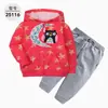 Comercio Exterior Ropa Infantil Primavera y Otoño Conjunto Infantil de Dos Piezas Material Sudadera Sudadera con Capucha Ropa Infantil para Bebés Ropa de Salida [Al por Mayor]
