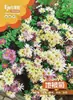 Fornecedor atacadista de sementes de flores, sementes variadas, sementes para plantio em vasos, varandas e pátios durante as quatro estações.