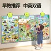 Cartaz de Parede de Áudio para Educação Infantil para Crianças Pequenas, Adesivos de Parede Sonoros de Aprendizagem Cognitiva de Iluminação Educacional para Bebês e Crianças Pequenas, Dispositivo de Leitura por Pontos