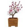 Ciruelo en Maceta Interior Perfumado Ciruelo de Invierno Bonsái Ciruelo Rojo Pila Vieja Balcón Patio Plantas Resistentes al Frío Fáciles de Cultivar