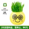 Regalos Creativos de Vacaciones para Niños, Regalos de Cumpleaños para Jardín de Infancia, Muñecos de Cabello de Césped, Plantas en Maceta que Crecen al Regarlas, Mini Plantas