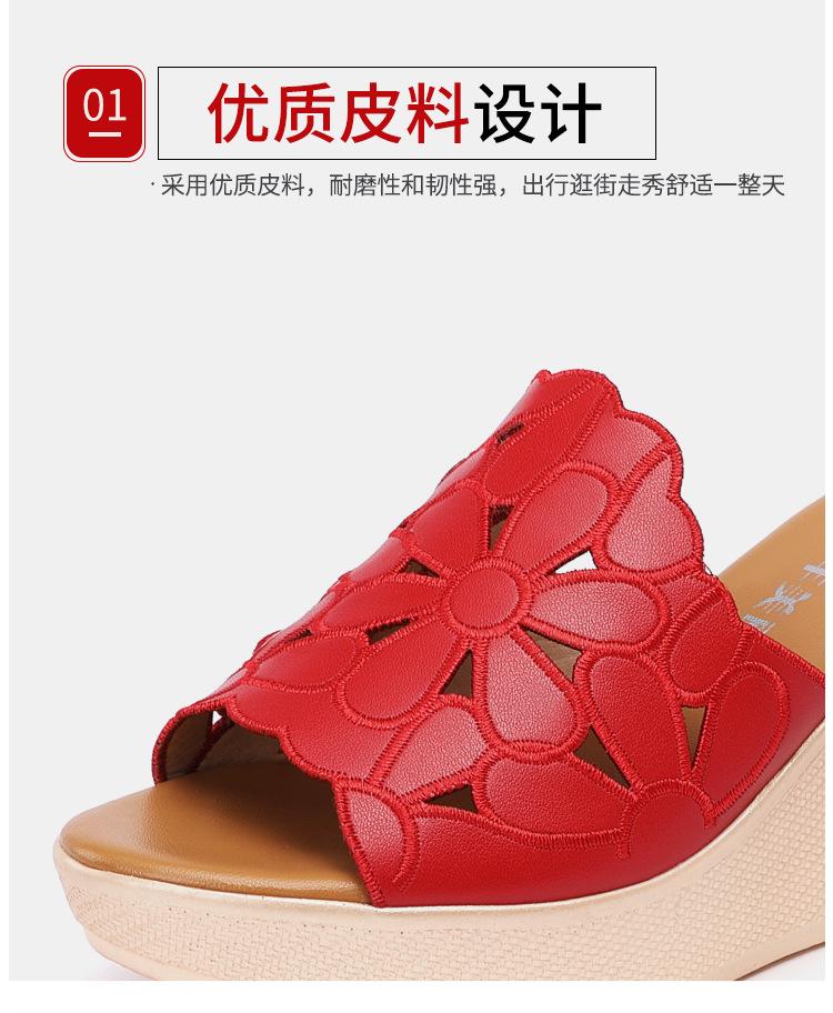 红色_09.jpg