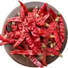 Anis Estrela Pedaços Grandes Temperos Condimentos Conjunto Completo Selecione Você Mesmo Anis Estrela Canela Folhas de Louro Pimenta de Sichuan Cravo Pimenta Cardamomo Angélica Branca Combinação