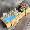 Atividade de AquecimentoMicro Paisagem em Garrafa Suculenta Plantas DIY Materiais Ornamento de Planta em Vaso de Vidro Conjunto de Presente