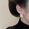 Aretes Micro-Incrustados con Diamantes para Mujer, Diseño Nicho, Sentido del Diseño, Lujo Ligero, Aretes de Tendencia Personalizados para Lucir Delgada como Celebridad de Internet