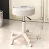 Taburete de Belleza con Ruedas, Silla para Barbería, Silla Especial Elevable para Salón de Belleza, Silla Giratoria Ajustable, Taburete Redondo, Silla para Peluquería y Manicura