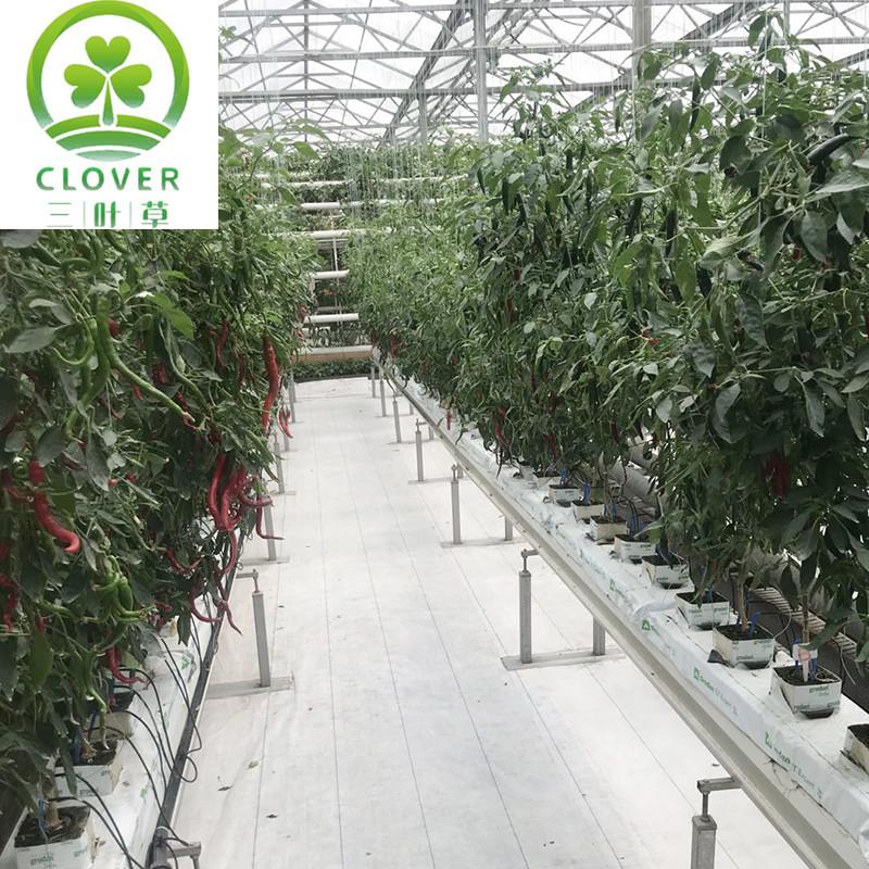 微信图片_20200829091841