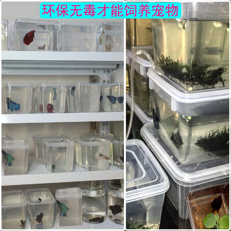 2功能9宠物饲养.jpg