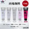 Set de Pintura Acrílica Personalizado de 75 ml, Impermeable y que no se decolora, Adecuado para Pintura DIY en Estudio, Se puede imprimir con logotipo