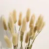 Buquê de Grama de Cauda de Coelho Seca Real Decoração de Casa Ins Decoração de Janela Arranjo de Flores DIY Atacado Buquê de Flores Secas Artesanal