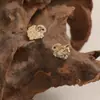 Pendientes de Oveja Pequeños, Elegantes y Exquisitos, Pendientes de Hielo Triturado con Diseño de Nicho, Temperamento Dulce y Lindo, Pendientes Versátiles al por Mayor