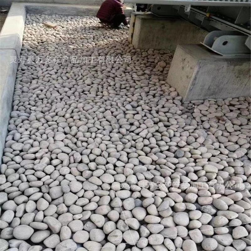 mmexport1562824776434