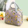 Bolsa de almoço, saco de isolamento, saco de almoço, saco de lancheira, saco de isolamento com saco de arroz, folha de alumínio, bolsa de saco engrossado