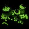 Pedras Luminosas Fábrica Atacado Pedras Brilhantes DIY para Aquário Paisagismo de Aquário Pedras Fluorescentes para Iluminação de Fundo