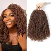 Temu Mais Vendido Exportação Fibra Química Crochê Cabelo Cacheado Yanky Twist Macarrão Instantâneo