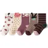Calcetines Gruesos para Niños al por Mayor Otoño e Invierno Estilo Nuevo Calcetines de Felpa con Conejo Elevado Calcetines de Algodón Calientes Calcetines para Niñas