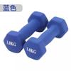 Juego Completo de Mancuernas Recubiertas de Plástico para Mujeres y Hombres, Gimnasio en Casa Yoga Ejercicio Mancuernas Pequeñas, Juego de Mancuernas de Hierro Puro Fundido Sólido