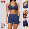 Conjunto Esportivo Novo Sem Costura Transfronteiriço para Mulheres Costas Nuas com Amarração no Pescoço Cintura Alta Controle da Barriga Conjunto de Treinamento Pilates Yoga 4535