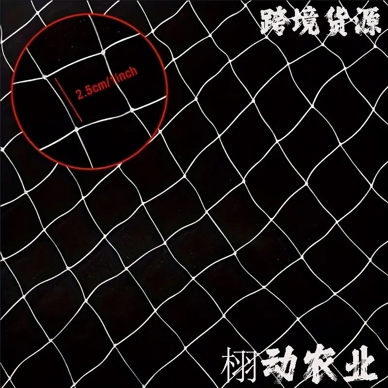 主图五