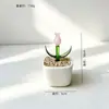 Set de planta en maceta de vidrio Zibo transfronterizo, flor de vidrio regalo del Día de la Madre, adorno decorativo, decoración de escritorio