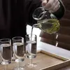 Bule de Chá, Conjunto de Chá Resistente ao Calor, Dispositivo para Preparo de Chá Verde, Vaso Pequeno Transparente, Decantador, Bule de Vidro, Estilo Simples para Uso Doméstico