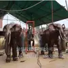 Elefante de Cobre Puro para Interior Par de Elefantes Auspiciosos de Ferro Fundido Escultura de Animal Grande de Cobre Escultura de Elefante de Cobre para Exterior Ornamentos
