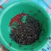 Atrapamoscas de Colgar para Exteriores del Hogar Atrapamoscas Atrapamoscas Atrapamoscas Atrapamoscas