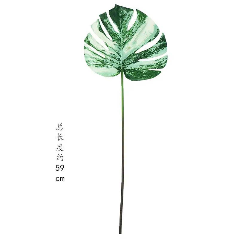 主图1_副本