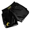 Pantalones cortos de boxeo, lucha libre, elásticos, secado rápido, sublimación, deportivos, fitness, lucha, entrenamiento de sanda, nuevo estilo al por mayor
